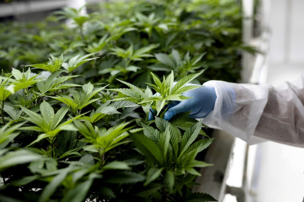 Connected Cannabis Co. Raises $30 Million for Expansion