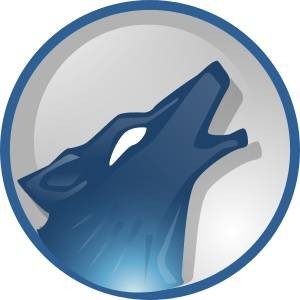 Amarok Linux: Control Your Music
