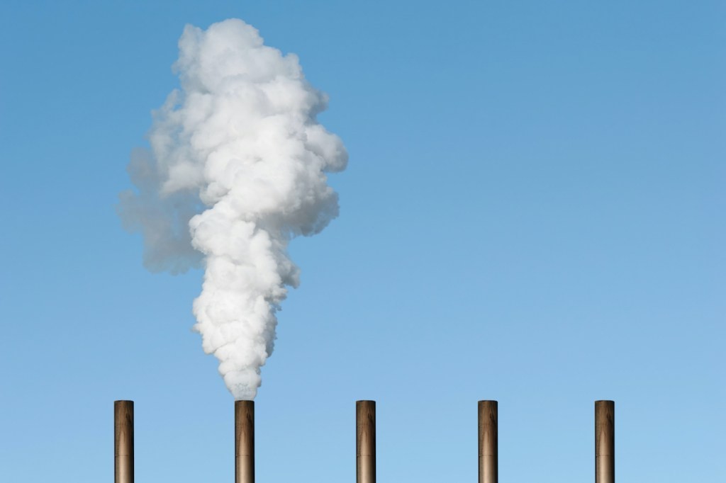 Carbon Offset Startups & Corporate Sustainability