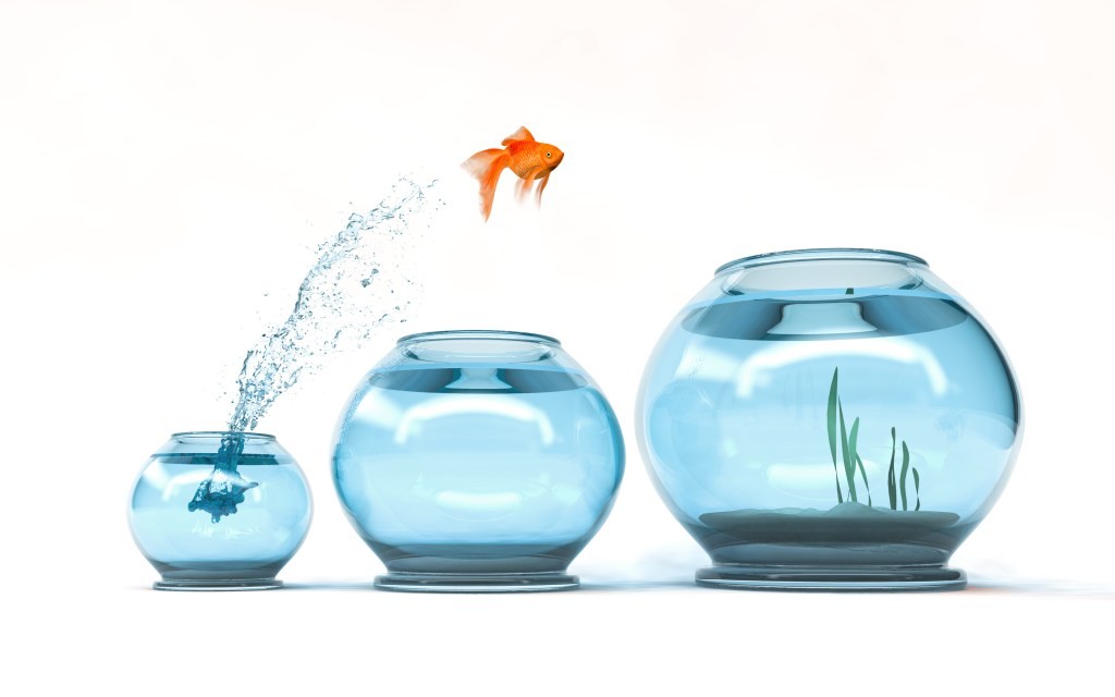 AdTech Revolution: Why VCs Should Pay Attention