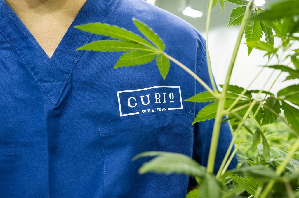 Curio Wellness Launches $30M Fund for Minority & Women Cannabis Owners