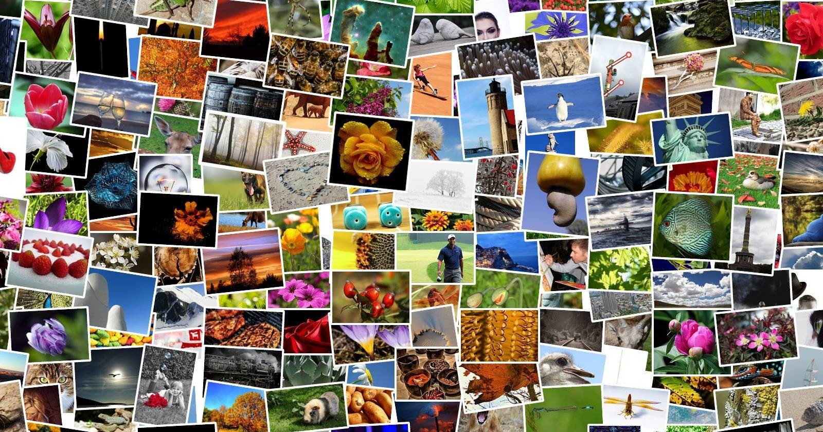 Customize, Delete & Arrange Photos in Facebook Albums