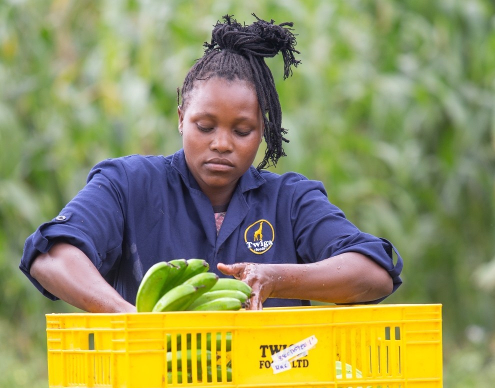 Twiga Foods Secures $50M Series C Funding - Daily Crunch