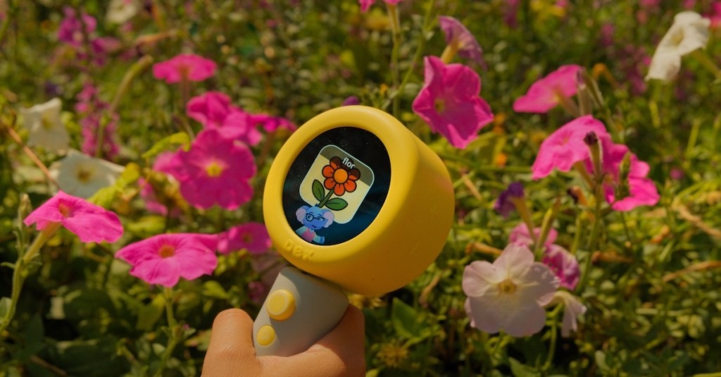 Dex - AI Language Learning Camera for Kids