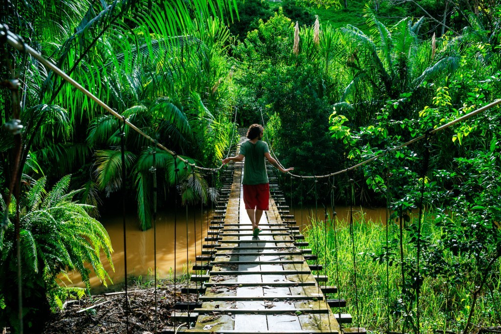 Dispense with the Chasm? A Critical Look