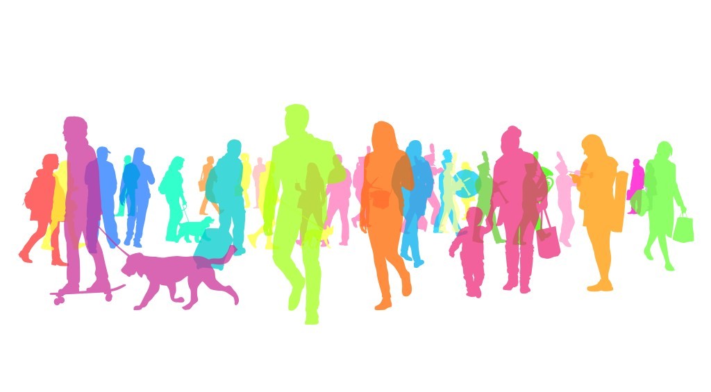Diversity Data Transparency: The Issues & Challenges