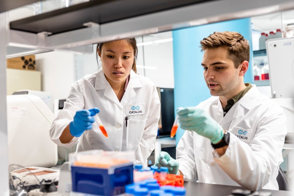 DNA Data Storage Platform Catalog Raises $35M in Funding