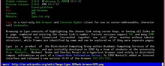 Do Text-Based Browsers Reduce Network Traffic?
