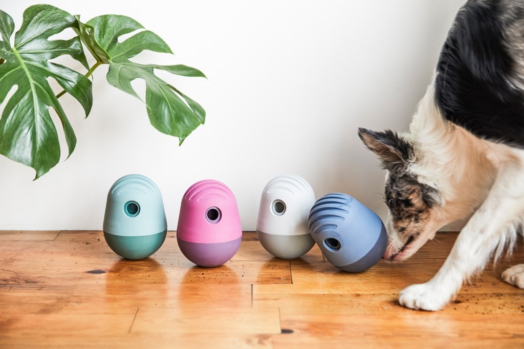 Fable: A Brand for the Dog Lifestyle