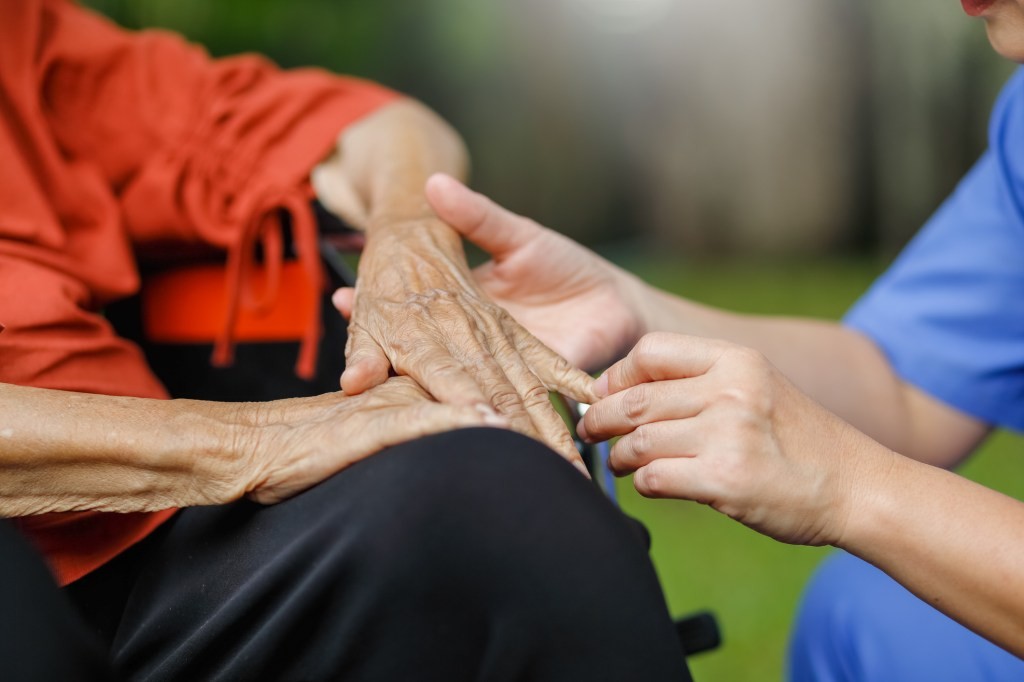 Papa Raises $60M Led by Tiger Global - Elder Tech News