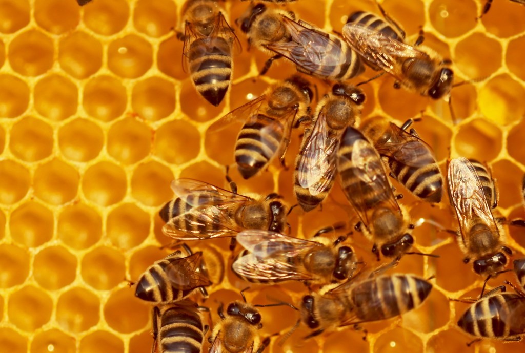 EquityBee Raises $55M to Help Employees Exercise Stock Options