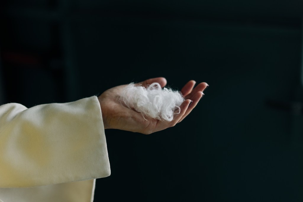 Everbloom AI Transforms Chicken Feathers into Cashmere