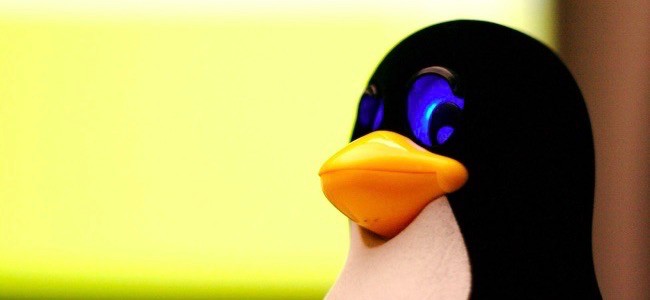 Watching DRM'd Media on Linux: A Comprehensive Guide