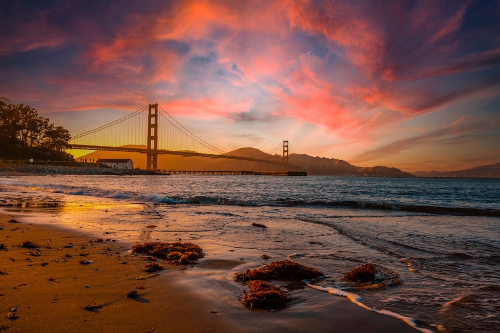 Extra Crunch Roundup: Fintech, Startups & Warby Parker S-1