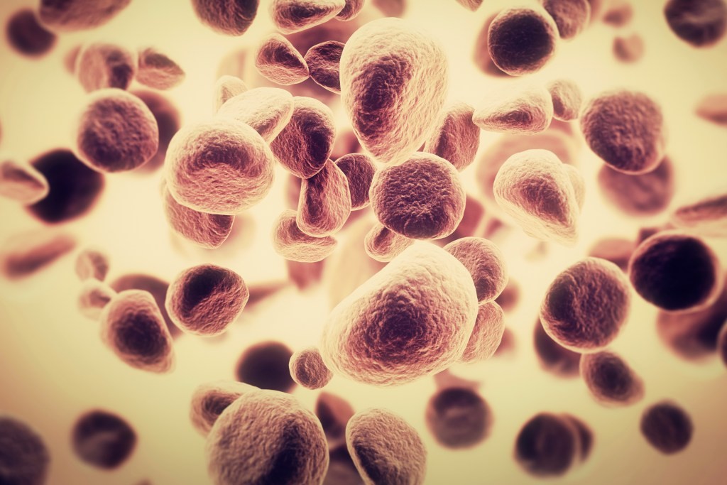 Faeth Therapeutics Raises $20M Seed Funding for Cancer Treatment