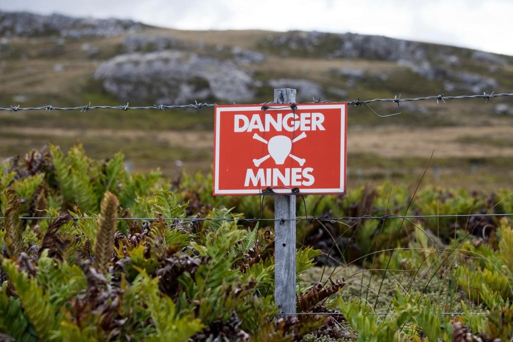 Fieldstone Bio: Microbial Sensors for TNT, Arsenic & More