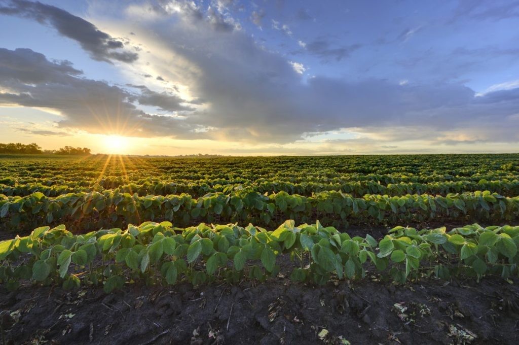 Fintech and Farmland: A New Investment Frontier