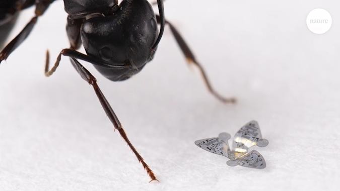 Flying Microchips for Air Pollution Tracking | Innovation