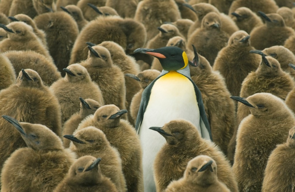 SaaS Startup Differentiation: An Iterative Process