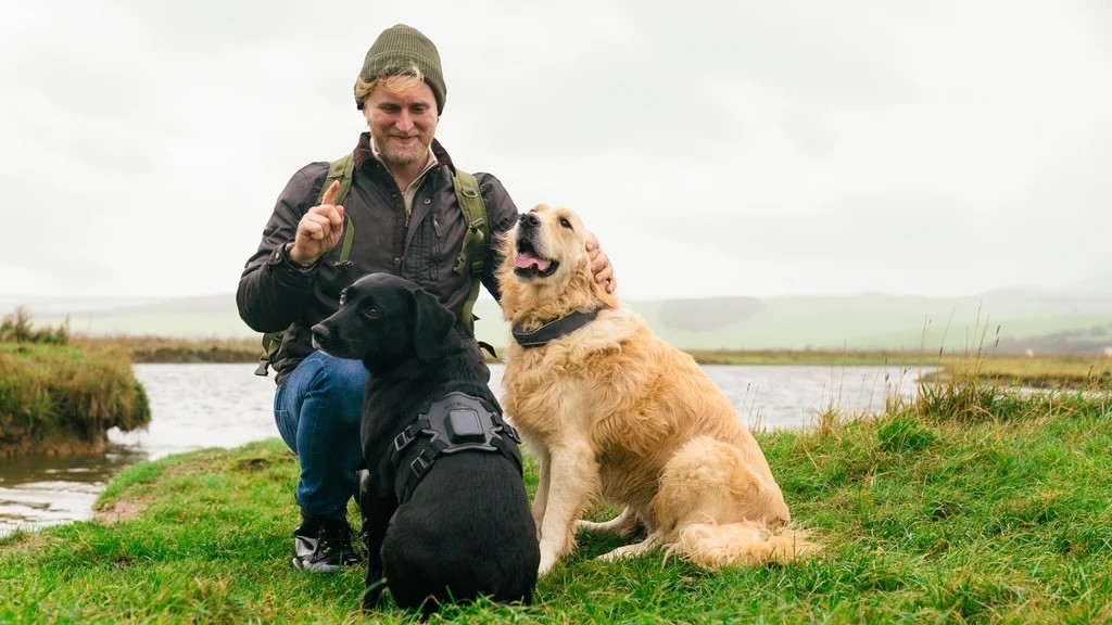 Satellai: Satellite Pet Tracker Launched at CES 2025