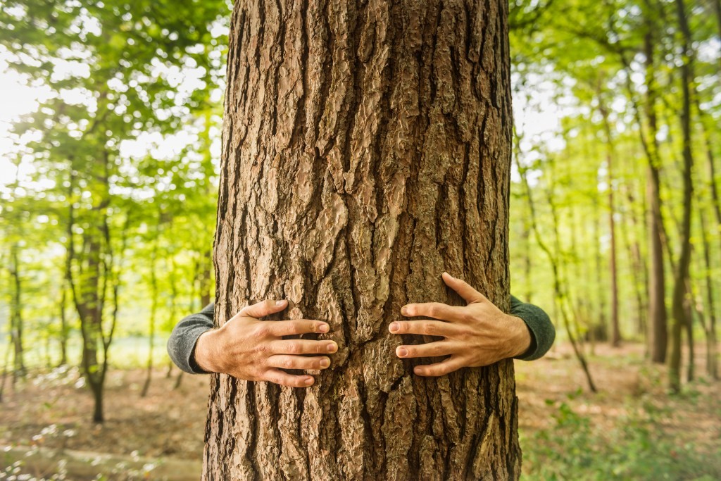 Sustainability for Startups: Prove It to Investors