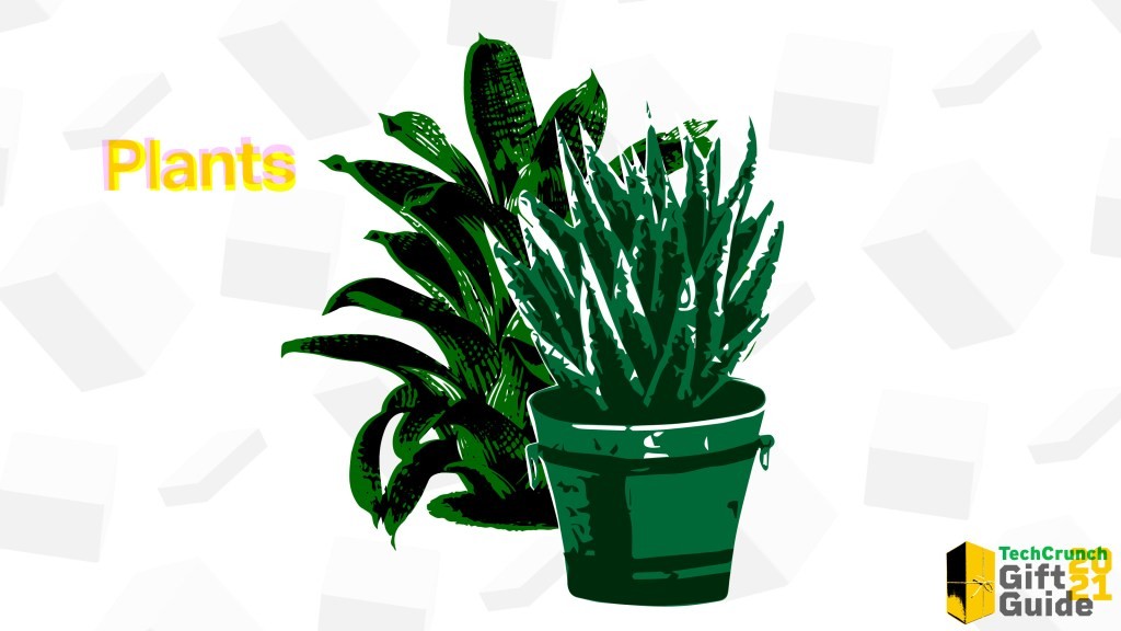 Tech Gifts for Plant Lovers: The Ultimate Gift Guide