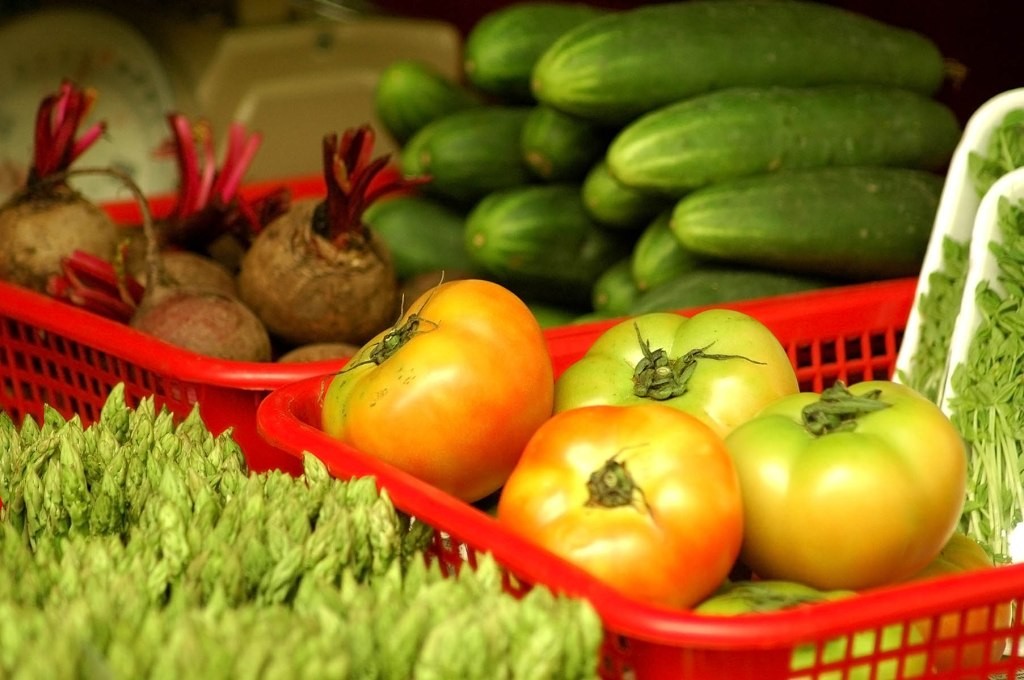 Google Launches Resources for Food Insecurity - Google News