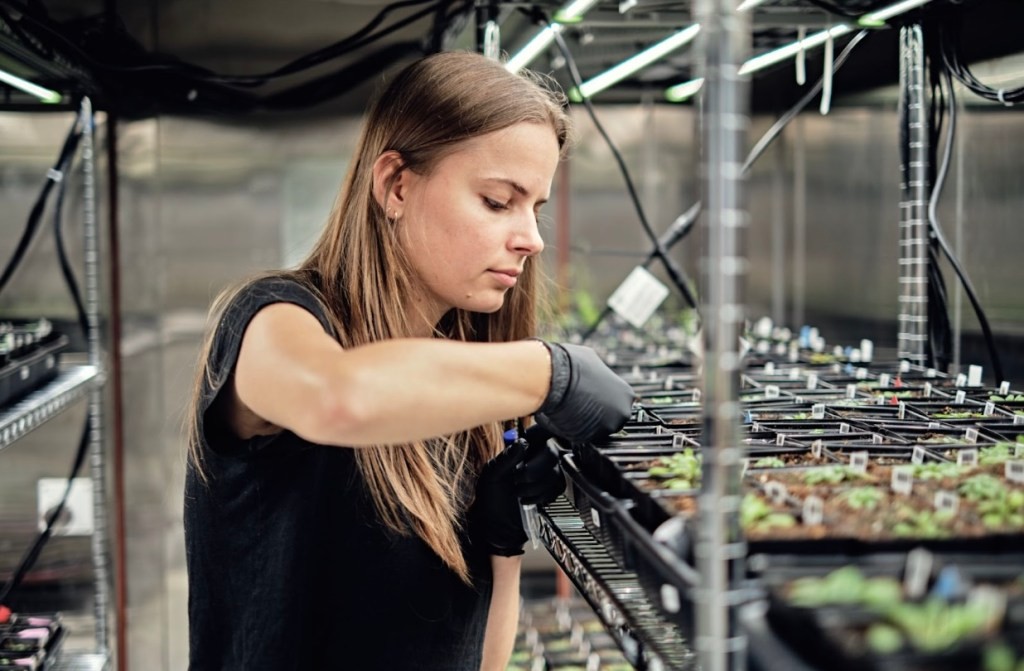Heritable Agriculture: AI-Powered Crop Yield Improvement