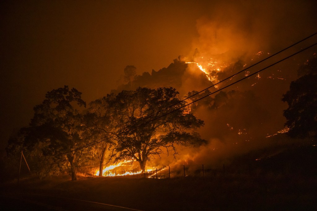 Gridware: Early Detection Sensors for Power Grids & Wildfires