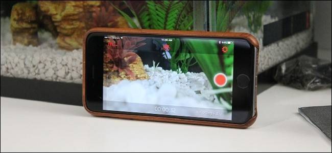 Automatically Start Recording with Manything on Door/Window Open