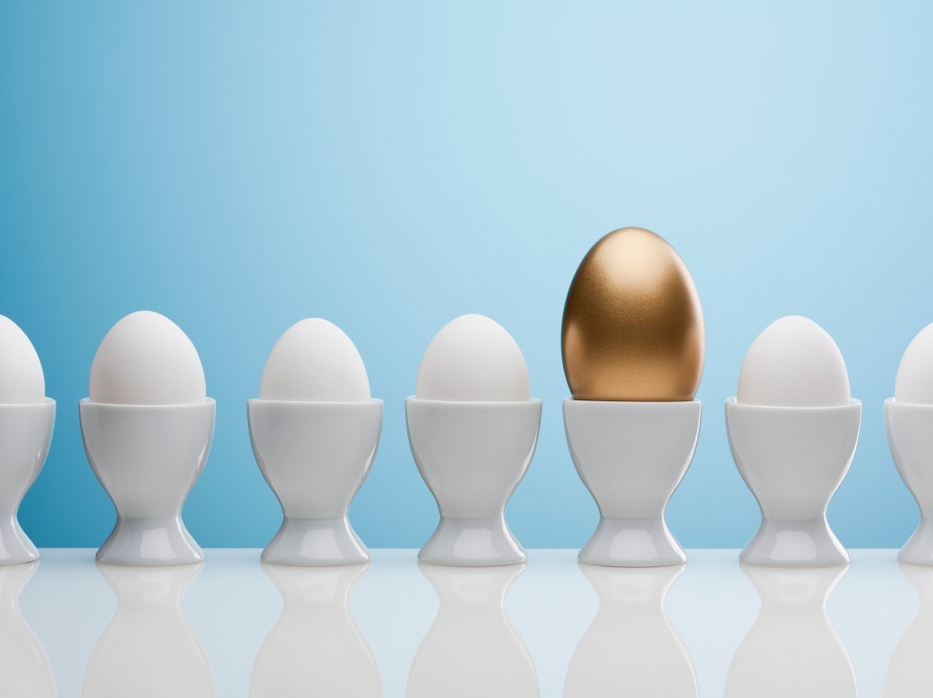 How to Succeed in SaaS: Becoming a 'Have'