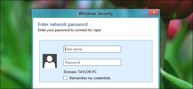 Windows 8 Network File Shares - No Password Setup
