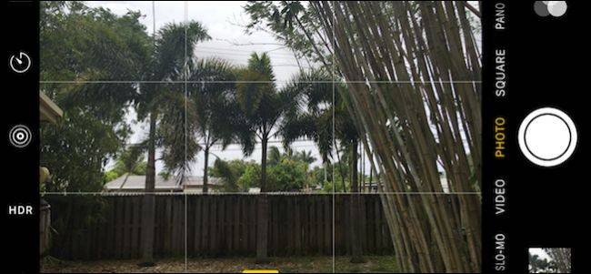 Enable Grid in iOS Camera: Take Straight Photos