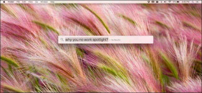 Fix Spotlight Search Issues: Rebuild the Index