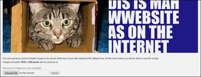 How to Own Your Own Website (Even If You Can't Build One) Pt 2