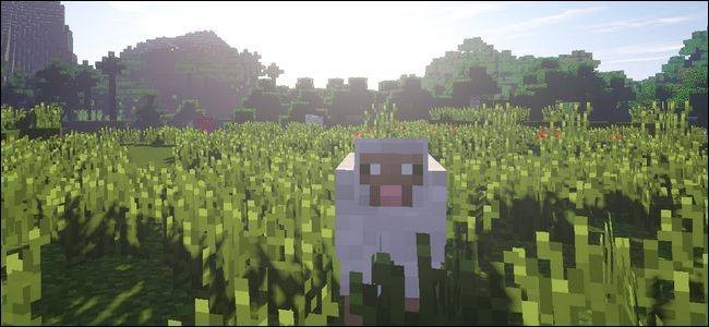 Minecraft Shaders: Enhance Your Game's Graphics