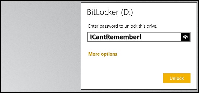 BitLocker Password Recovery: What to Do If You Forget It