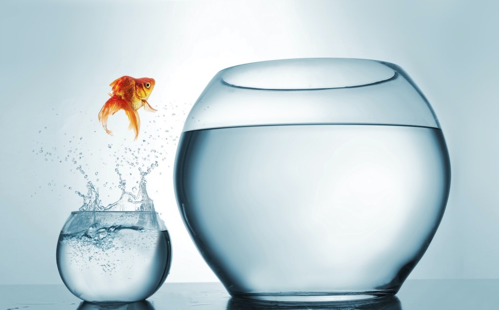 Win Consulting, Board & Deal Roles with PE & VC Funds