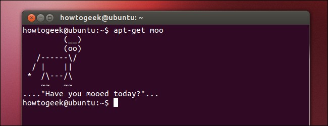 Beginner Linux Users: Don't Be Scared of the Terminal
