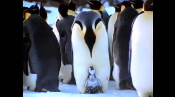 10-awesome-free-documentaries-watch-online-3.jpg