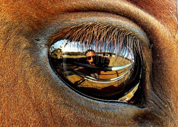 10-crazy-pictures-discovered-flickr-7.jpg