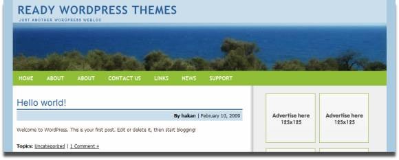 12-free-wordpress-themes-with-ad-space-10.jpg