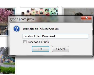 3-tools-download-facebook-photo-albums-4.jpg