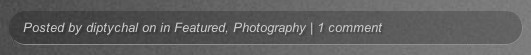 4-musthave-plugins-wordpress-portfolio-5.jpg