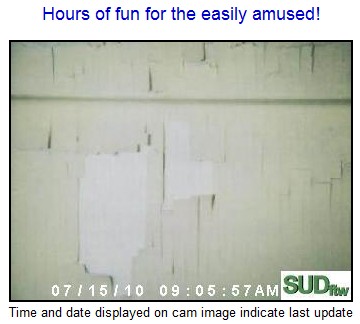 5-boring-webcams-watch-life-1.jpg