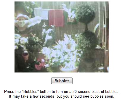 5-boring-webcams-watch-life-5.jpg