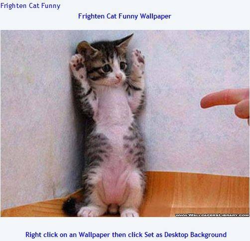 8-sites-funny-computer-wallpapers-9.jpg