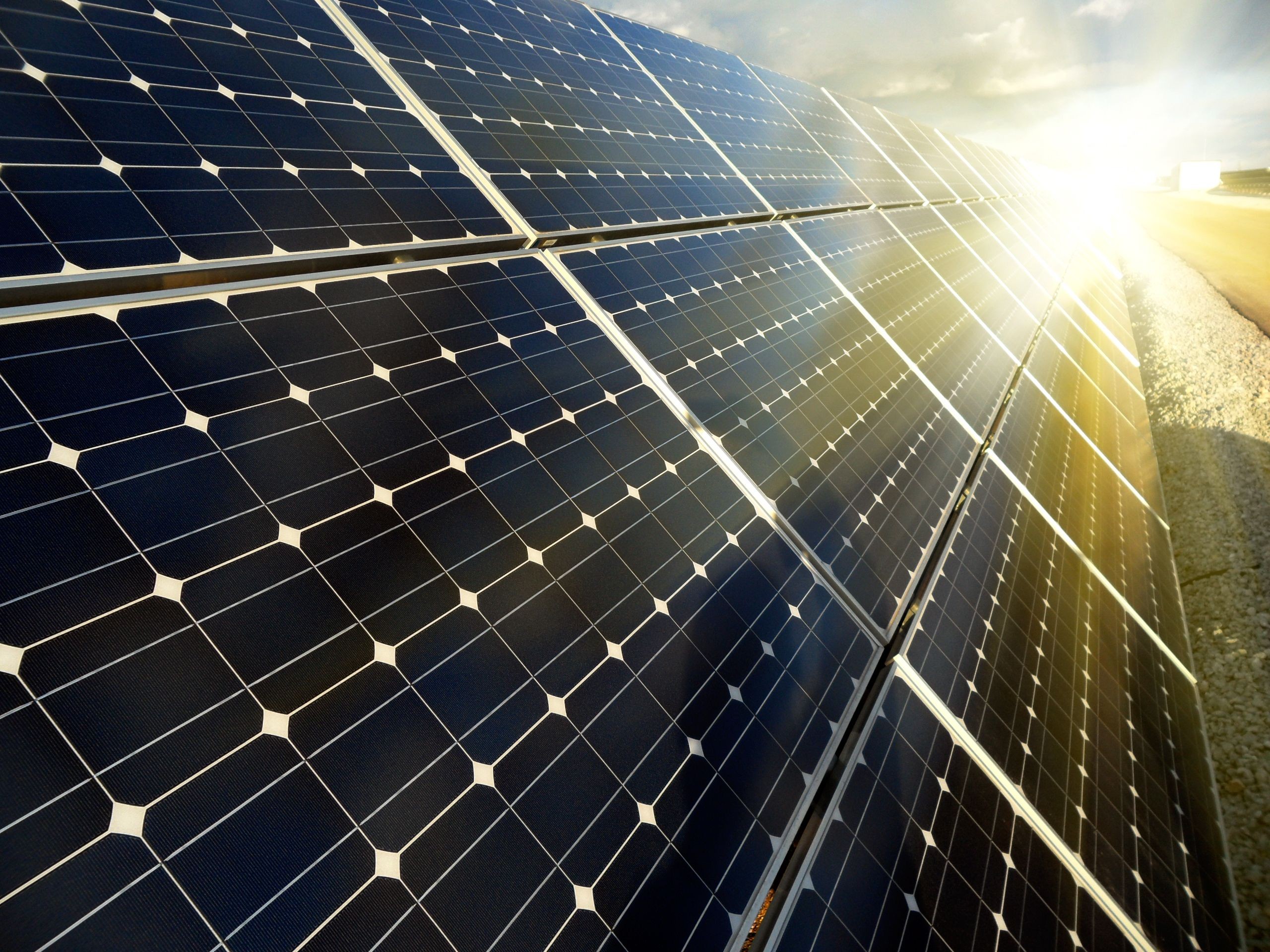 a supreme court ruling affirming canada’s carbon tax opens the door for a startup explosion