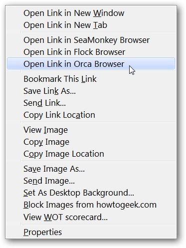 access-multiple-browsers-from-firefox-with-browser-view-plus-9.jpg