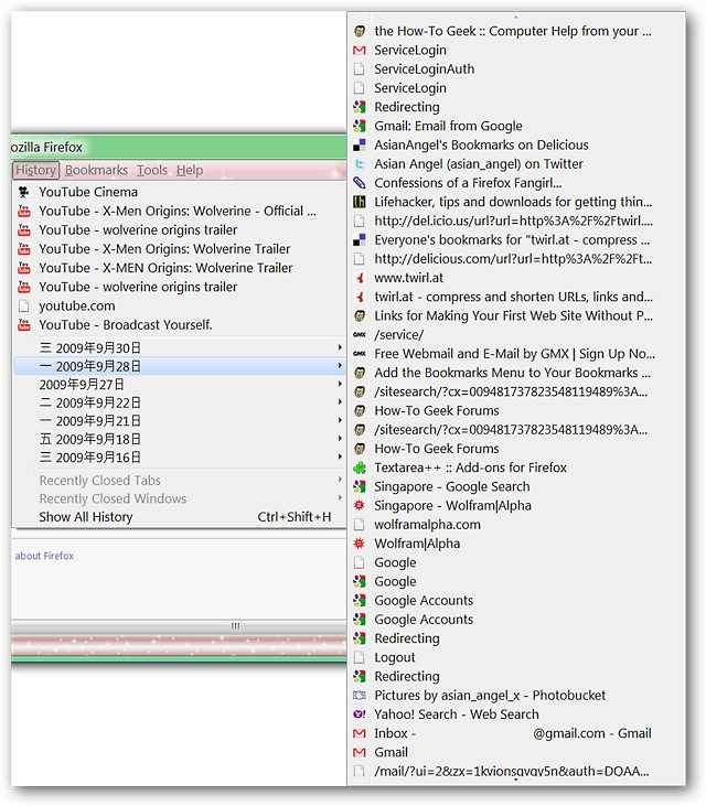 access-your-browsing-history-easier-in-firefox-3.jpg